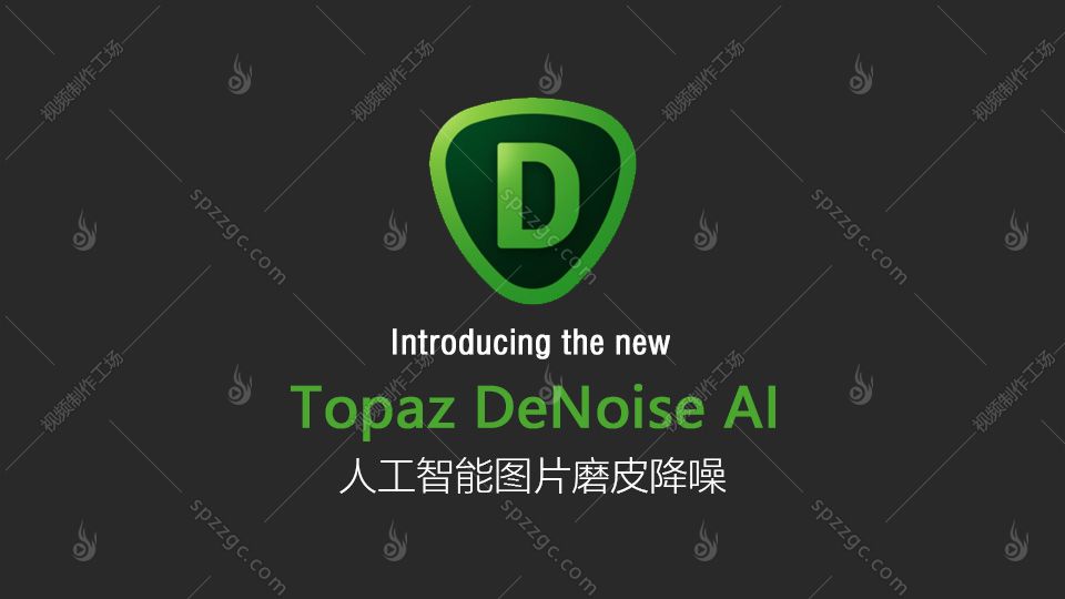 Topaz DeNoise AI人工智能降噪图片图像磨皮工具Win/Mac-1