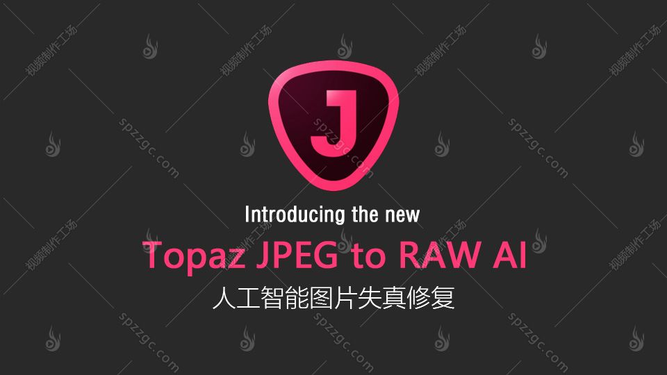 Topaz JPEG to RAW AI普通图片转成高画质无损格式Win/Mac-1
