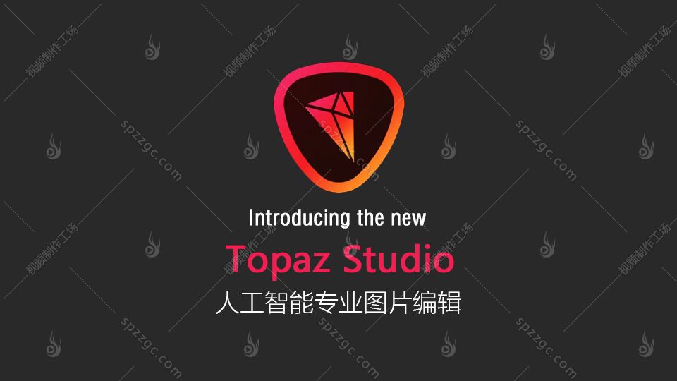 Topaz Studio专业图片处理编辑软件Win/Mac-1